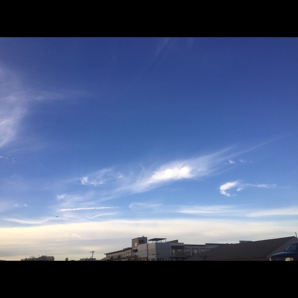 Meet your Posher, Rosa - Picture 3 of 3